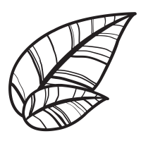  logo png