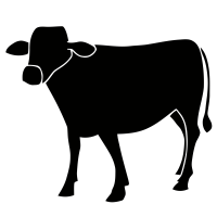  logo png
