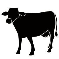  logo png