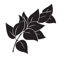  logo png